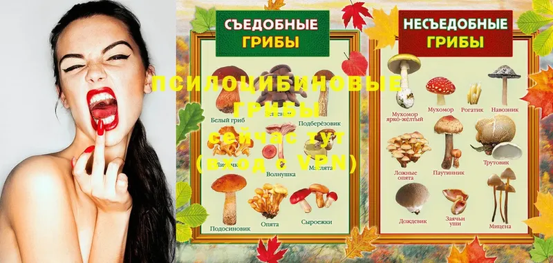 Галлюциногенные грибы Magic Shrooms  Олонец 